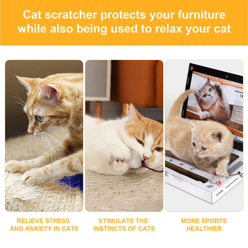Laptop Scratcher Cat Toy Kitty Interactive Scratching Board Toy