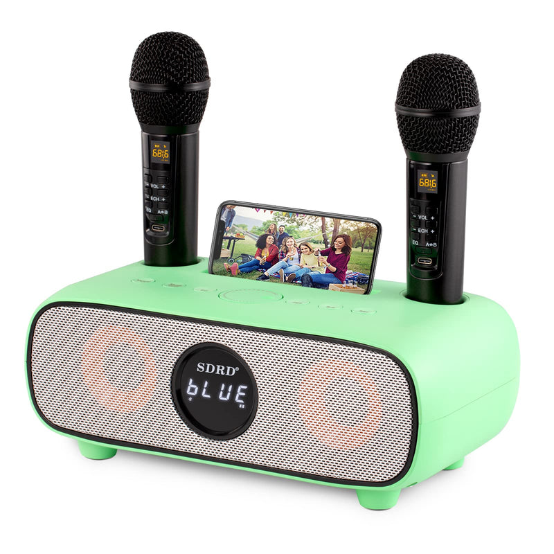 Karaoke Machine Bluetooth PA System with 2 Wireless Karaoke Microphone