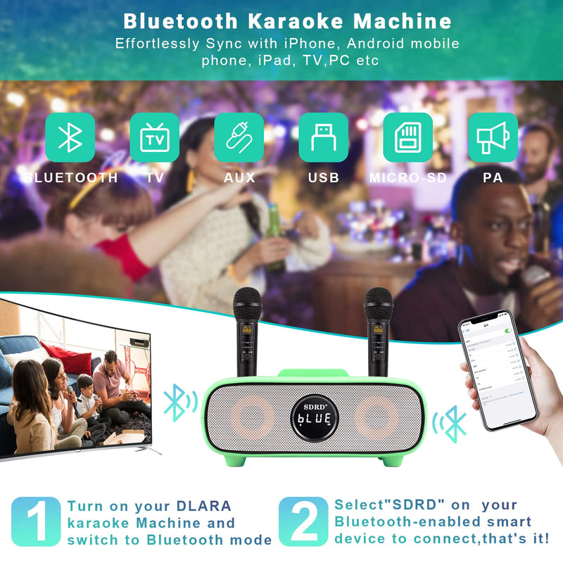 Karaoke Machine Bluetooth PA System with 2 Wireless Karaoke Microphone