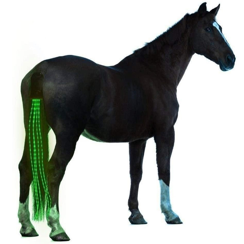 100cm Horse Tail USB Light