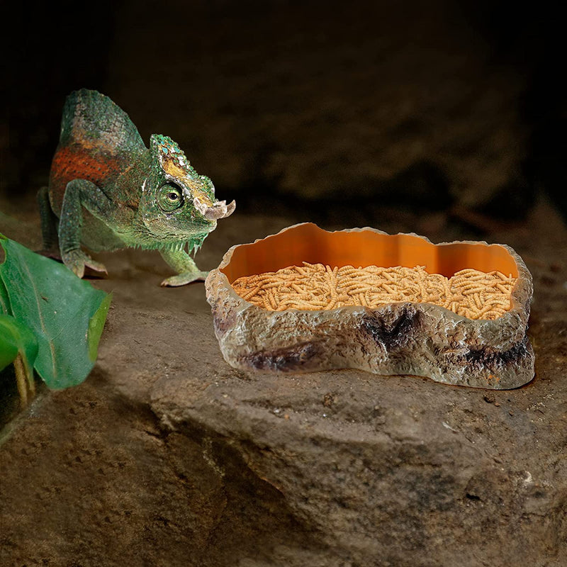 Reptile Food Feeding Water Rock Bowl