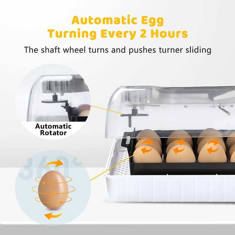Automatic Egg Incubator