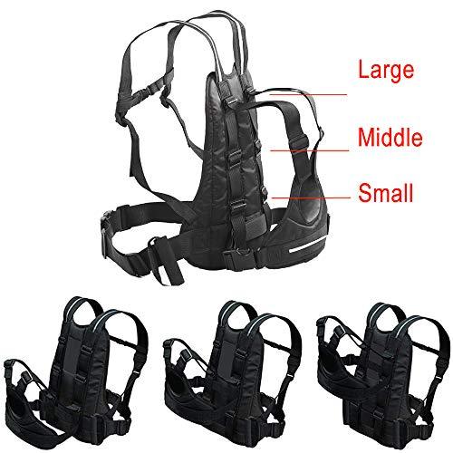 Child Motorcycle Harness