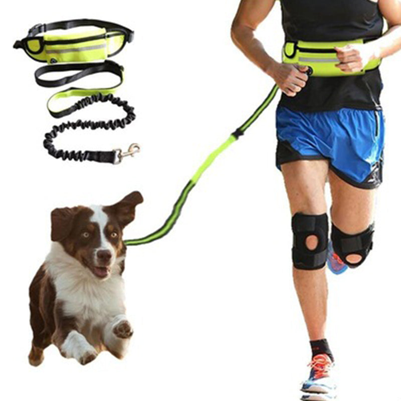 Dog Traction Rope Free hands Dog Leash with Waist Bag Pull dog Running Retractable ElasticBelt Reflective Harnesses Dog supplies|Leashes|