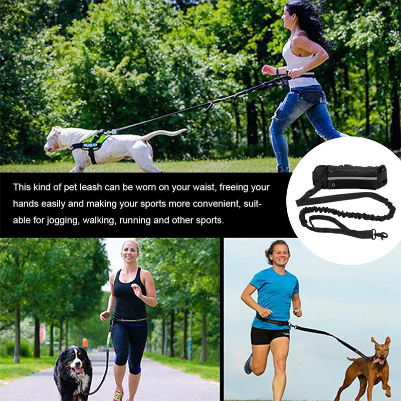 Dog Traction Rope Free hands Dog Leash with Waist Bag Pull dog Running Retractable ElasticBelt Reflective Harnesses Dog supplies|Leashes|