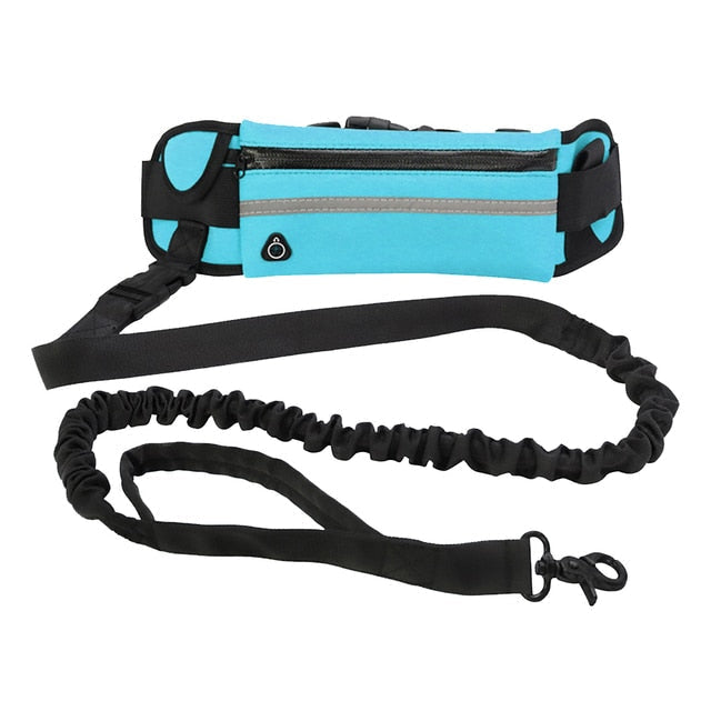Hands Free Dog Leash with Zipper Pouch
