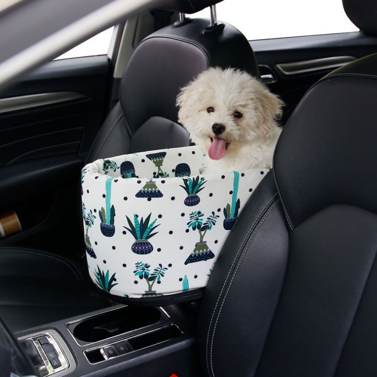Small Dog Car Seat
