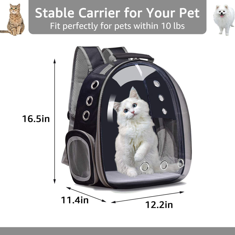 Transparent Pet Carrier Backpack